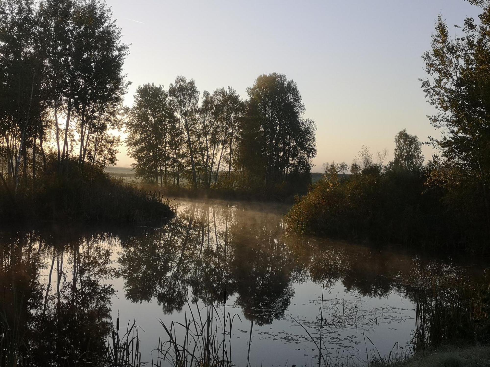 Borowy Zakatek Villa Stara Kiszewa Exteriör bild