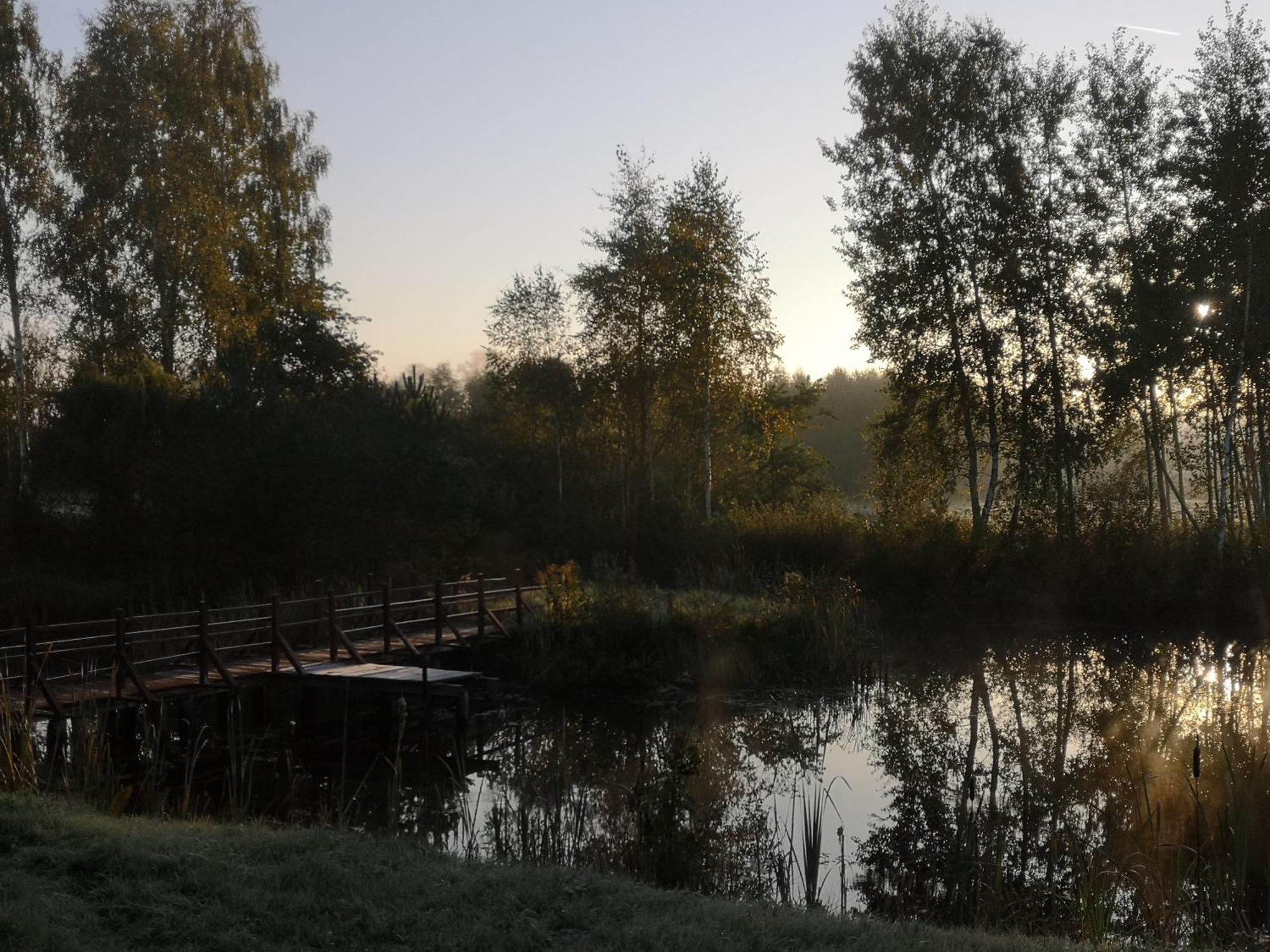 Borowy Zakatek Villa Stara Kiszewa Exteriör bild