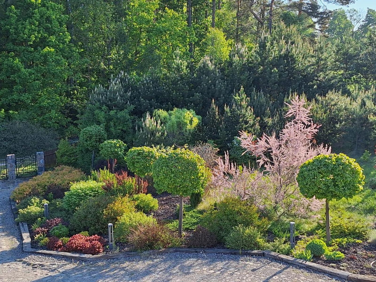 Borowy Zakatek Villa Stara Kiszewa Exteriör bild