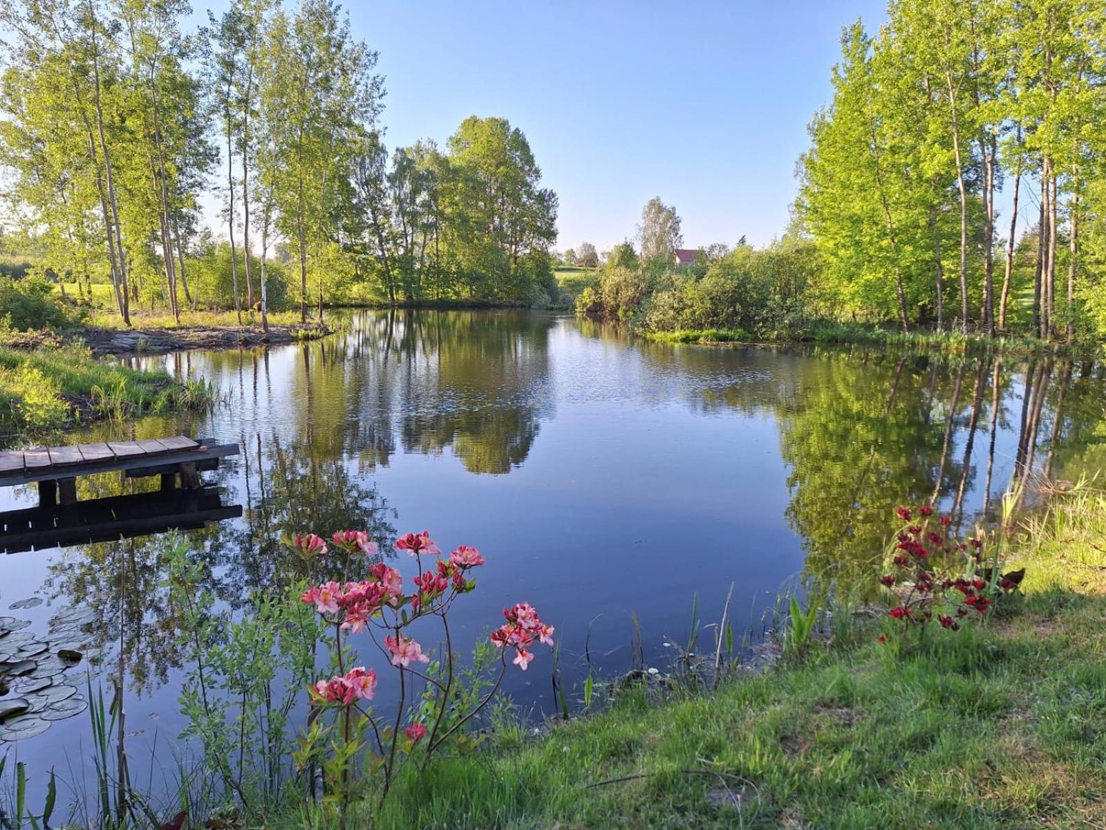 Borowy Zakatek Villa Stara Kiszewa Exteriör bild